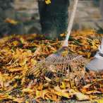 Clean-ups