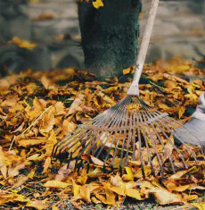 Clean-ups
