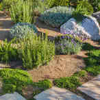 Landscape Design