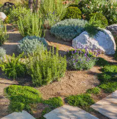 Landscape Design