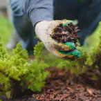 Mulch